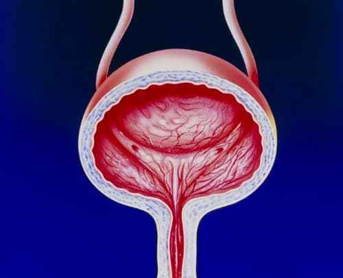 ECOMAX medicamento opiniones