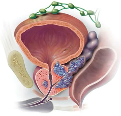 Urotax precio farmacia del ahorro